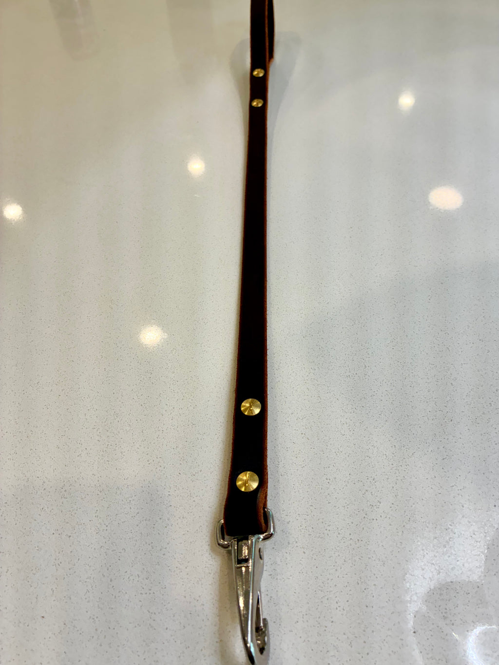 leather dog leash