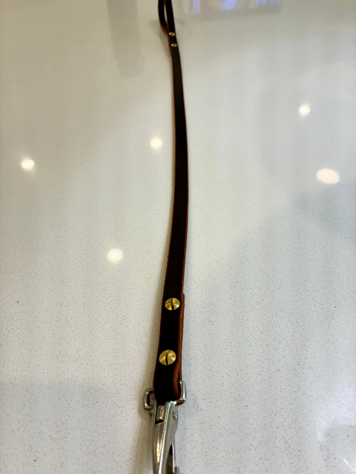 leather dog leash