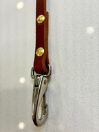 leather dog leash