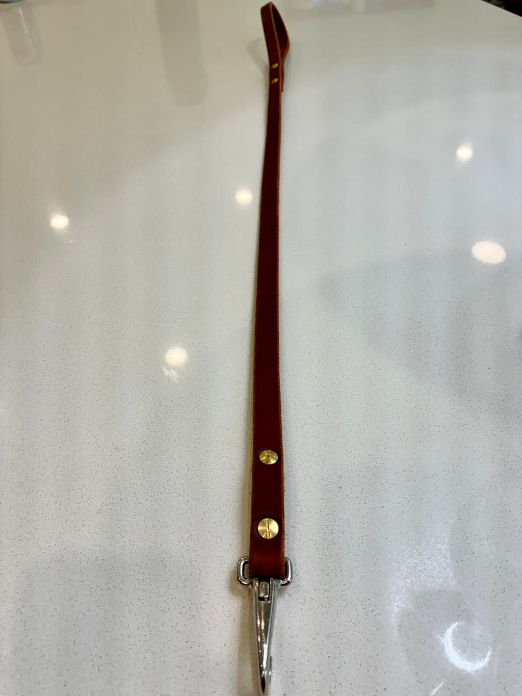 leather dog leash