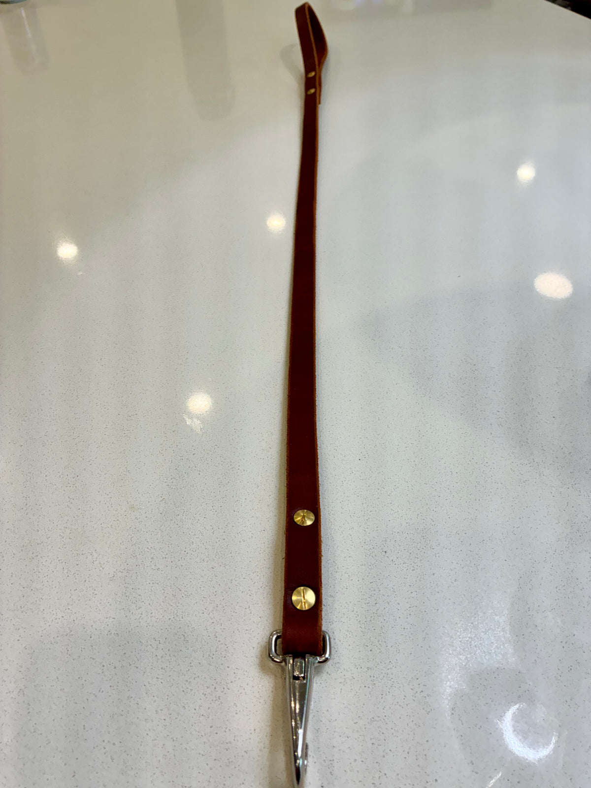 leather dog leash